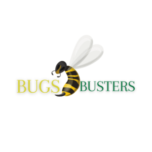 Bugsbusters Lingolsheim, Désinsectisation, Désinfection