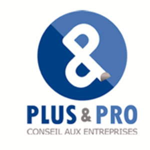 PLUS&PRO Conseil Caen, Consultant, Agent commercial