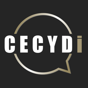 Cecydi Agde, Agence de communication, Formation