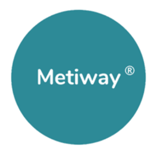 Metiway Saint-Apollinaire, Réseaux informatiques, Entreprise de service