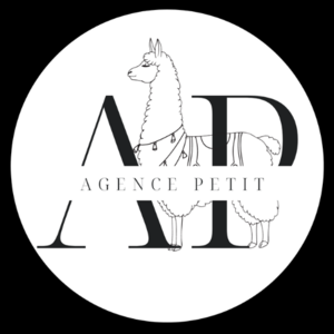 Agence PETIT Saint-André-de-Roquelongue, Agence web