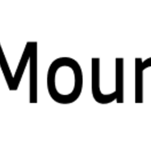 Moumz Marseille, Agence web