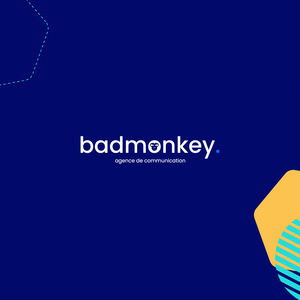 Bad Monkey Limoges, Agence de communication, Agence web, Graphiste, Web