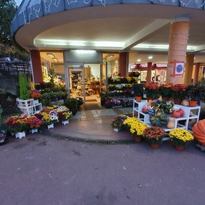 oriane fleurs Marly-le-Roi, Fleuriste