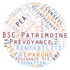 BSC-Patrimoine Pontoise, Conseil en gestion de patrimoine