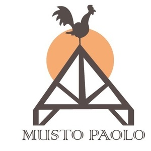 Musto Paolo  Le Muy, Charpente couverture, Aménagement comble