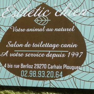 Esthetic'Chien. Votre animal au naturel Carhaix-Plouguer, Toilettage de chiens et chats