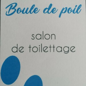 Boule de poil Saint-Flour, Toilettage canin