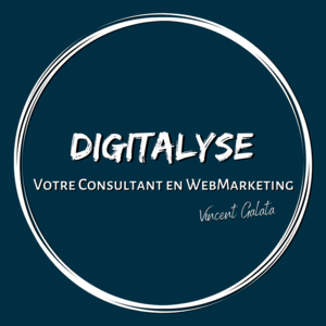 Digitalyse Nice, Agence marketing, Webmaster
