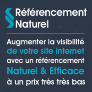 Référencement naturel Paris 2, Agence marketing