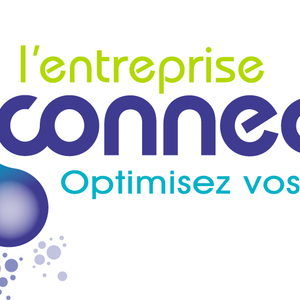 L'ENTREPRISE CONNECTEE Saint-Malo, Consultant