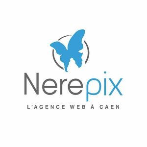 NEREPIX Caen, Agence web, Création de site internet