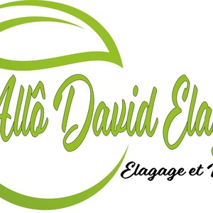 AllôDavid élagage Maucor, Elagage et abattage, Paysagiste