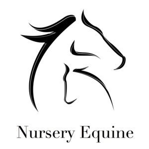 sas nursery equine Marolles, Elevage de chevaux, haras