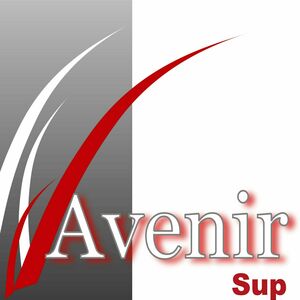 AVENIRSUP Villeurbanne, Centre de formation, Formation