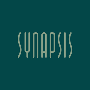 Synapsis Paris 16, Coaching, Consultant