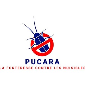 Pucara  Versailles, Désinsectisation, Désinfection