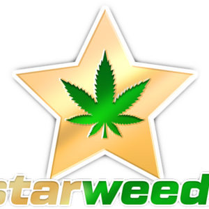 StarWeed Marseille, Herboristerie, Bar tabac