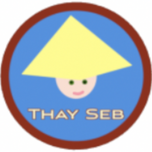 Cours de vietnamien en ligne Vitry-sur-Seine, Ecole privée