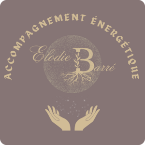 Élodie Barré - Accompagnement Énergétique Civray, Energeticien