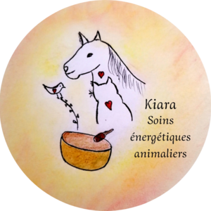 Kiara, soins énergétiques animaliers  Routes, Energeticien
