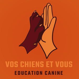 Vos chiens et vous Valence, Educateur canin