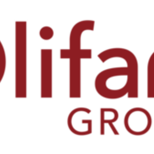 Olifan Group, Gestion de Patrimoine à Lyon Lyon, Entreprise locale