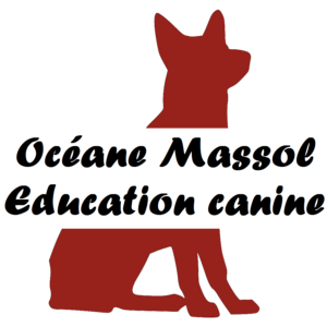 Education canine – Océane Massol Montpellier, Educateur canin, Comportementaliste animalier