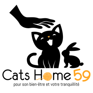 CATS HOME 59 Ronchin, Comportementaliste animalier
