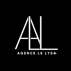 Agence Le Lys La Seyne-sur-Mer, Création de site internet, Agence web