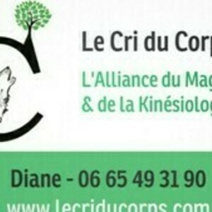 Diane Letournel - Kinésiologue & Magnétiseuse-Bourgogne Bouilland, Entreprise locale