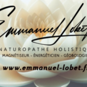 Emmanuel LOBET  Reims, Entreprise locale