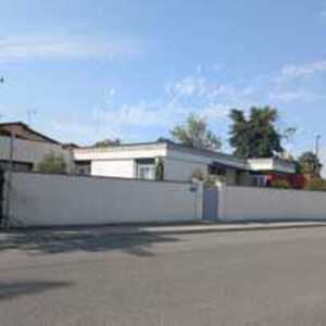 Olena Picon Muret, Entreprise locale