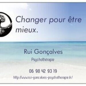 Cabinet de Psychothérapie Rui Gonçalves Paris 7, Entreprise locale