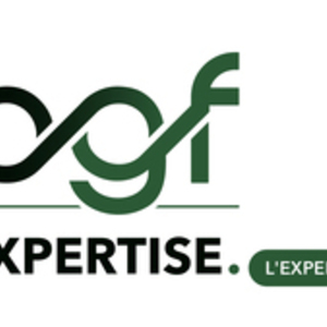 BGF EXPERTISE Vendargues, Entreprise locale