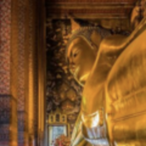 Potentiel infini Gouvieux, Entreprise locale