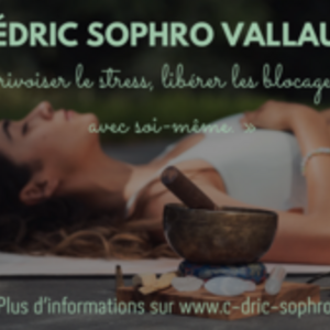 Cédric Payet-Balussaud  Vallauris, Entreprise locale