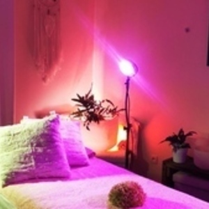 Sandrine Henno  Pibrac, Entreprise locale