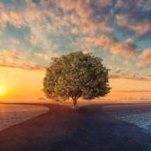 Martine Nahya' Elle  Dreux, Entreprise locale