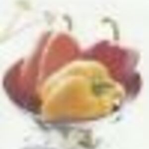 Anne Elisabeth MIGEON Saint-Jean-d'Angély, Entreprise locale