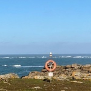 Eugénie VANOYE Carrières-sur-Seine, Entreprise locale
