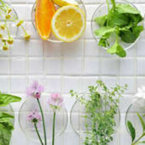 Patricia Bonheur Sainte-Luce, Entreprise locale