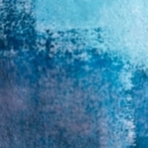 Arketherapie Maisons-Laffitte, Entreprise locale