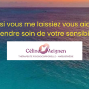 Céline Meignen Brest, Entreprise locale
