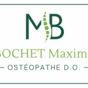 Maxime Bochet Ostéopathe D.O. Cruseilles, Entreprise locale
