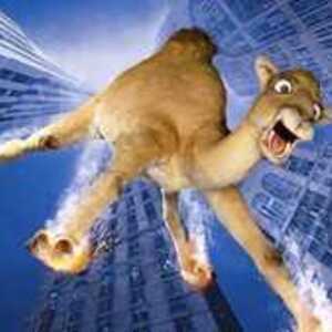 Valerie Bailleul Béthune, Hypnothérapeute