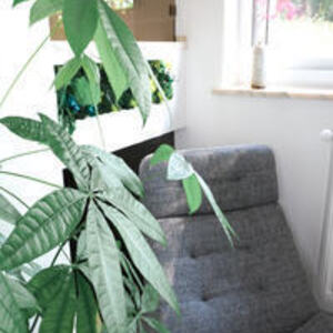 Audrey Bour - Sophrologue Metz Saint-Julien-lès-Metz, Entreprise locale