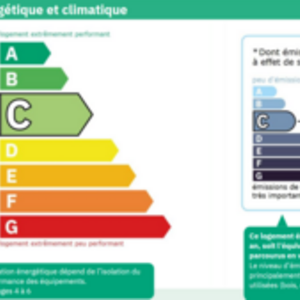 LB Diagnostics Dry, Entreprise locale