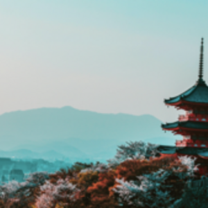 Yvonne Vidal  Vendargues, Entreprise locale