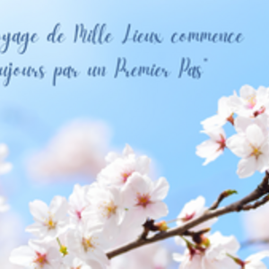 Elisabeth CANIZARES Aimargues, Entreprise locale